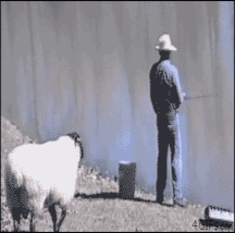 JB's Boy Pic's - 159 57fe530f05a30.gif