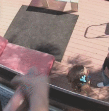 JB's Boy Pic's - 161 57fefc093c425.gif