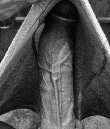 JB's Boy Pic's - Big Dicks - 176 5806cfdd5eadd.jpg