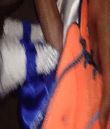 JB's Boy Pic's - 194 580fe8633c2e9.gif