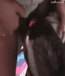 JB's Boy Pic's - 195 5810157ad191b.gif