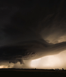 Joshua B's Nature Pic's - 256 582744763e2ca.gif