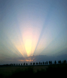 Joshua B's Nature Pic's - 256 5827447a54b5e.gif