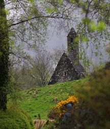 Joshua B's Nature Pic's - 256 58274491479fa.jpg