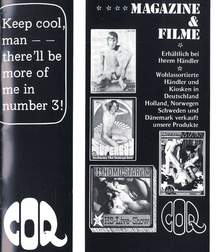Black and Gay - Vintage Mag 57791039c19a8.jpg