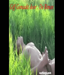 Mijn Giffs 001 58700b4d51e37.gif
