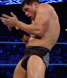 Hot WWE wrestlers 577f9353345d0.jpg