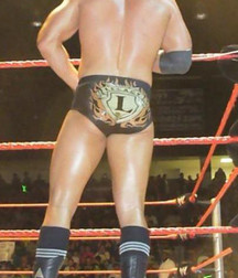 Hot WWE wrestlers 577f935a8f295.jpg