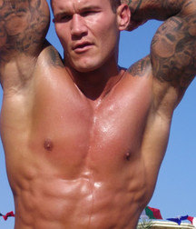 Hot WWE wrestlers 577f935e62e41.jpg