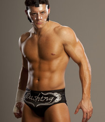 Hot WWE wrestlers 577f936718a73.jpg
