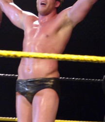 Hot WWE wrestlers 577f93690460c.jpg