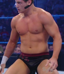 Hot WWE wrestlers 577f9376aaecb.jpg