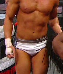 Hot WWE wrestlers 577f9387778d0.jpg