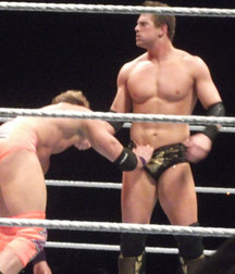 Hot WWE wrestlers 577f938eb4cce.jpg