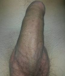 Some hot cocks 58393a5550142.jpg