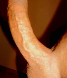 Mostly Cut Cock 579dcb5c2d9e4.jpg
