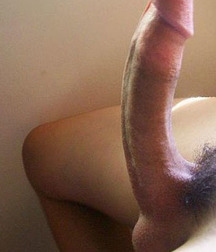 Mostly Cut Cock 579dcb716b83c.jpg