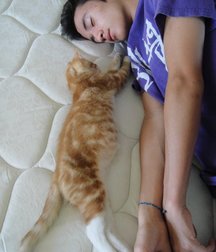 SLEEPYSTUFF 584c8982cf627.jpg