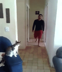 GIFSTUFF15 59a46d7e32045.gif