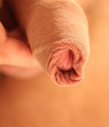Dicks I Like 5af17ba76cd3c.jpg