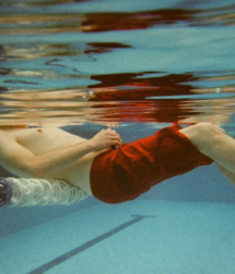 First-Rate Types 5ce8459001db5.png