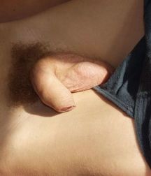 Uploaded by:bigheadtodd 5795ce228f6d9.jpg