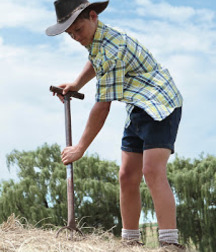 GPP - Farmhand  579d179806d16.jpg