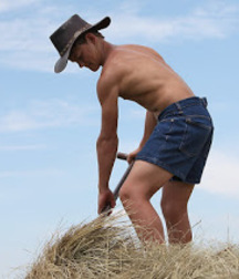 GPP - Farmhand  579d17b85b2bd.jpg