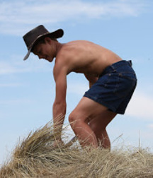 GPP - Farmhand  579d17b90c788.jpg