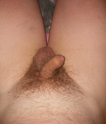 sweet cocks 59edfb0ddf830.jpg