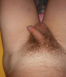 sweet cocks 59edfb1d2c3cc.jpg