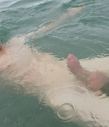 Lucky Pippin from Australia 58e41966c5896.jpg
