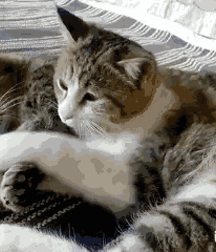 Hot Boys 171^^ 5dc1be4546634.gif