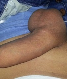 HotBoys 191^^ 5de2cbf556931.jpg