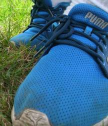 trips 59083d6108cb6.jpg