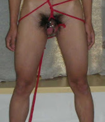 more Bound Boys 57b0619bbf62e.jpg