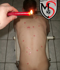 Michel Bound Boys 4 57b5042b53b51.jpg