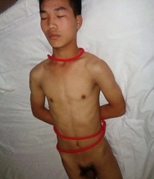 Michel asian Boy bound 584886d0bc173.jpg