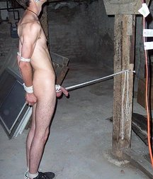 Michel bound Boys 11 58a4c1f6c568e.jpg