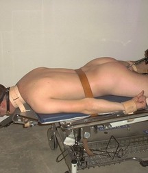Michel bound Boys 11 58a4c21ecebe9.jpg