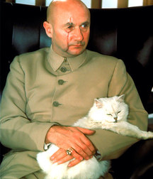 Michel and Cats 590d11852e64d.jpg