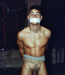Michels bound boys 5a18c3f2c97e1.jpg