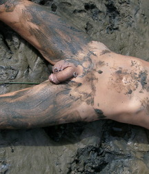 Michel more dirty Boys 5add0caeaac3d.jpg