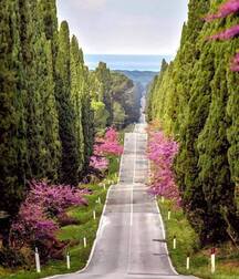 Beauty of Italy 5ef65a32340af.jpg