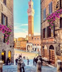 Beauty of Italy 5ef65a89166cb.jpg
