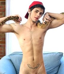 vincent supersweet latino 57c573daa84e8.jpg