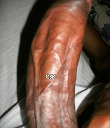 mix off sweet and big cocks 57f3f29c82a2a.jpg