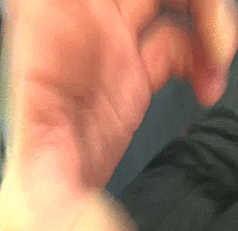 viele latinos und andere 5815f4723870f.gif
