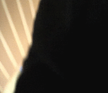 viele latinos und andere 5815f47f6c5d9.gif