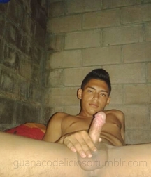 callitos latinos 585195abda268.jpg